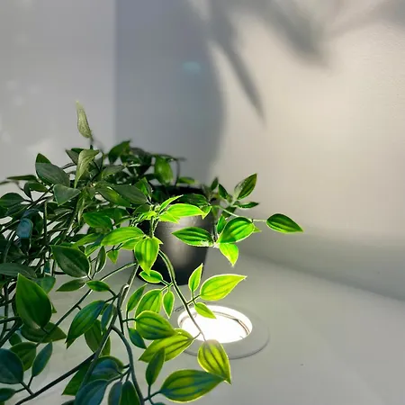 Croissant De Lune - Coeur De - Old Town 公寓