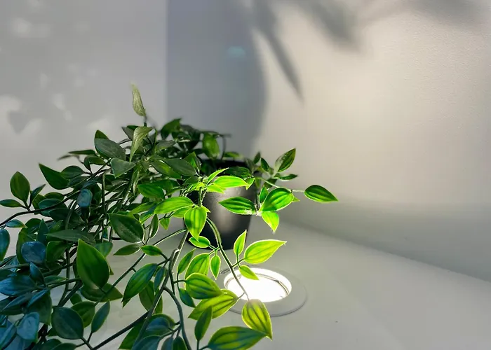 Croissant De Lune - Coeur De - Old Town Appartement